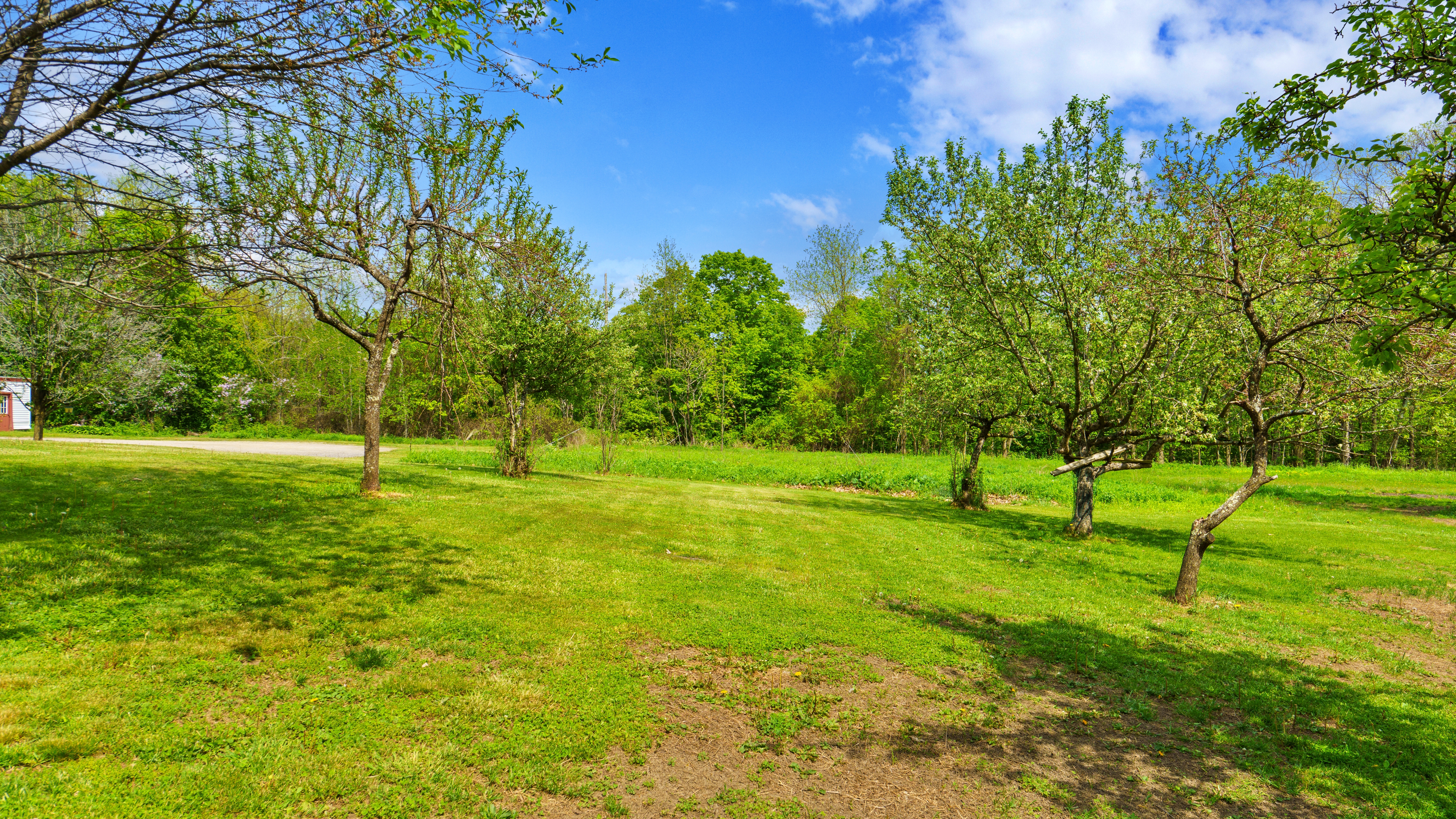  Just One Mile From the Heart of Lenox, Nearly 36 Acres Await Your Next Chapter - 物件實景