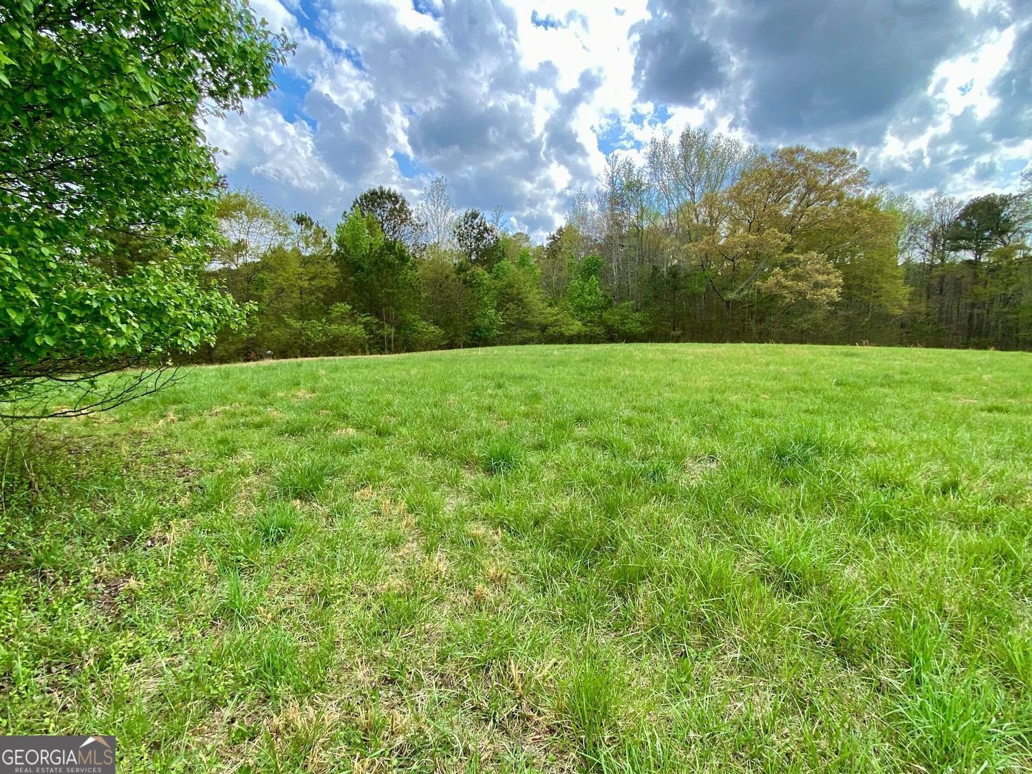 Rockmart, Georgia, 30153, United States, 5 Bedrooms Bedrooms, ,5 BathroomsBathrooms,Residential,For Sale,1858932