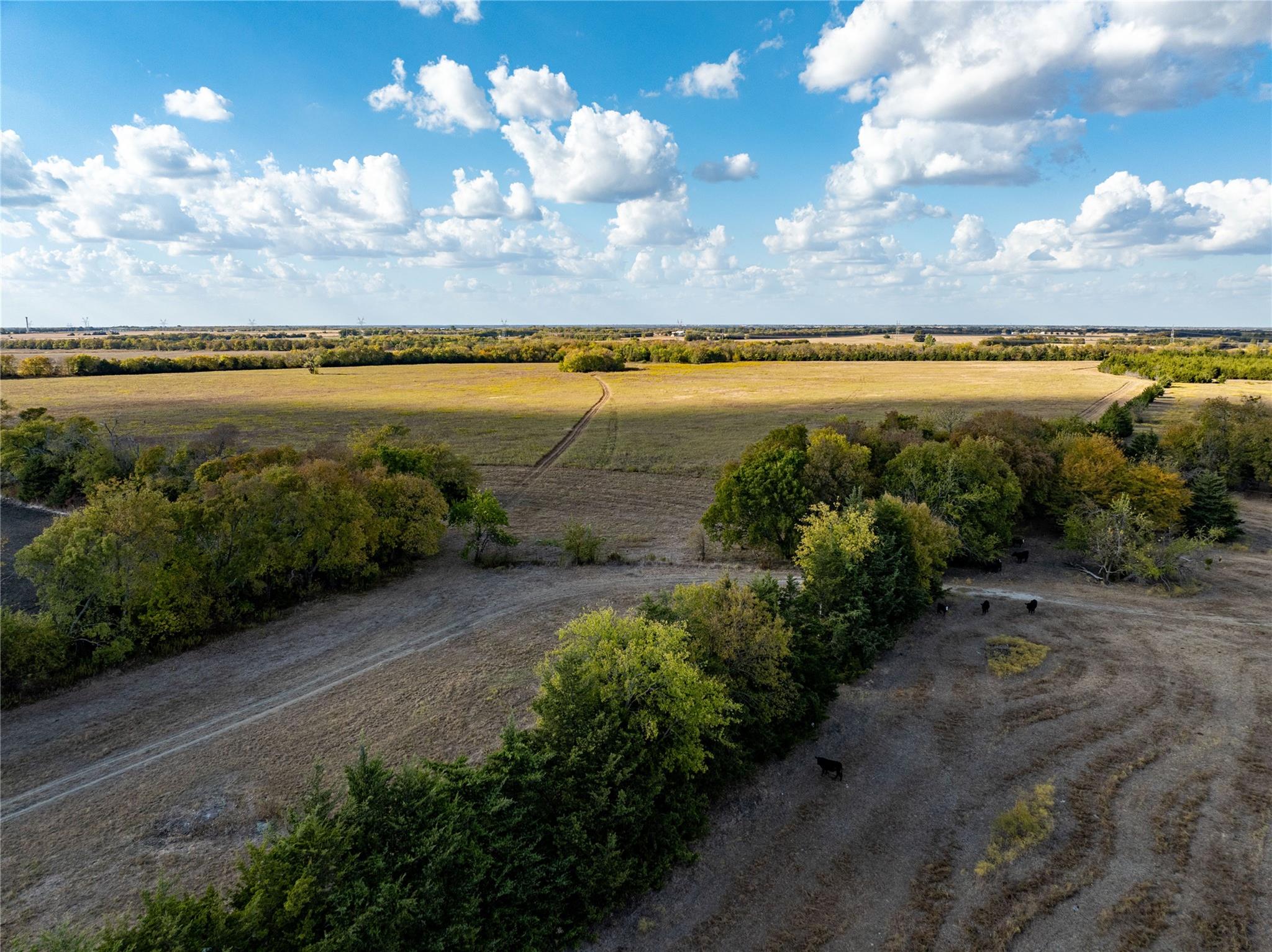 Brookston, Texas, 75421, United States, ,Residential,For Sale,1842459