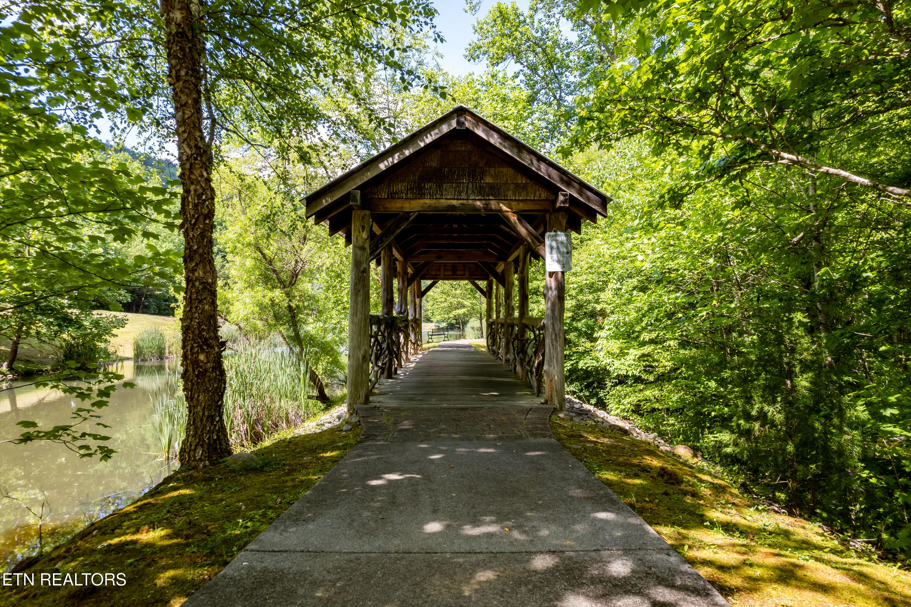 Townsend, Tennessee, 37882, United States, ,Land,For Sale,1982643