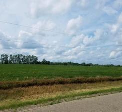 5Xxx W Lake Burgen Road SE, Alexandria, Minnesota, 56308, United States, ,Land,For Sale,5Xxx W Lake Burgen Road SE,1318922