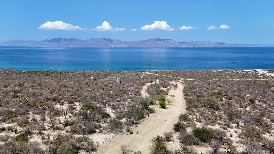 Sin calle, El Jalito, Baja California Sur, 23232, Mexico, 1 Bedroom Bedrooms, ,Residential,For Sale,Sin calle,1652731