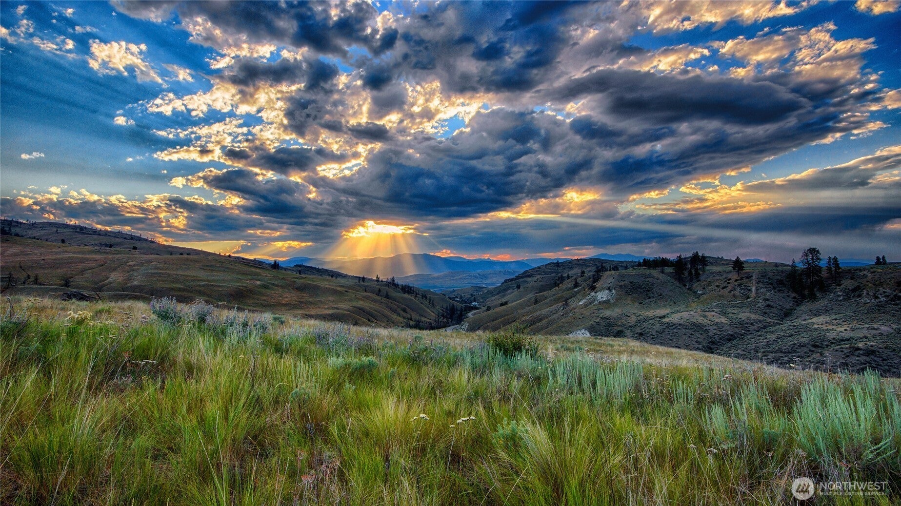 Tonasket, Washington, 98855, United States, 3 Bedrooms Bedrooms, ,2 BathroomsBathrooms,Residential,For Sale,2001750