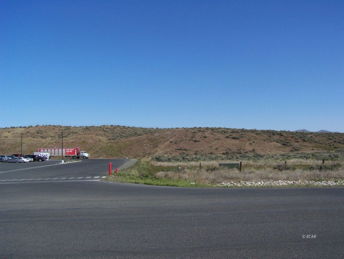 Elko, Nevada, 89801, United States, ,Land,For Sale,1838764