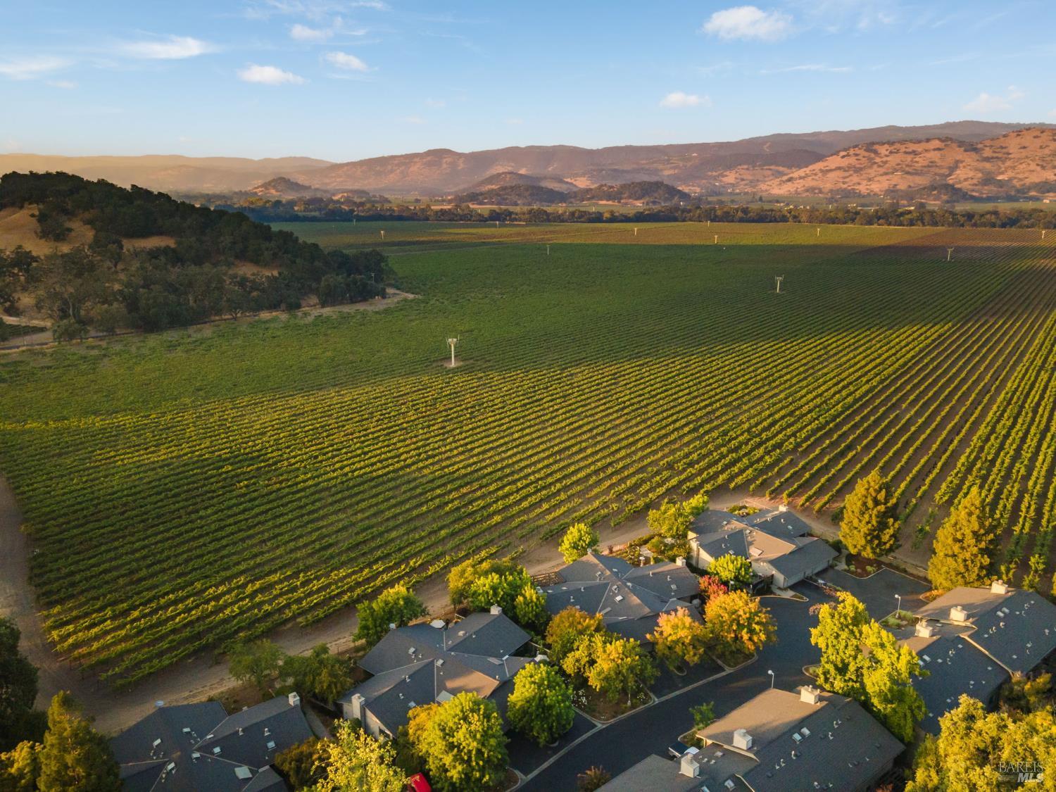 Yount St, Yountville, CA 94599 #1