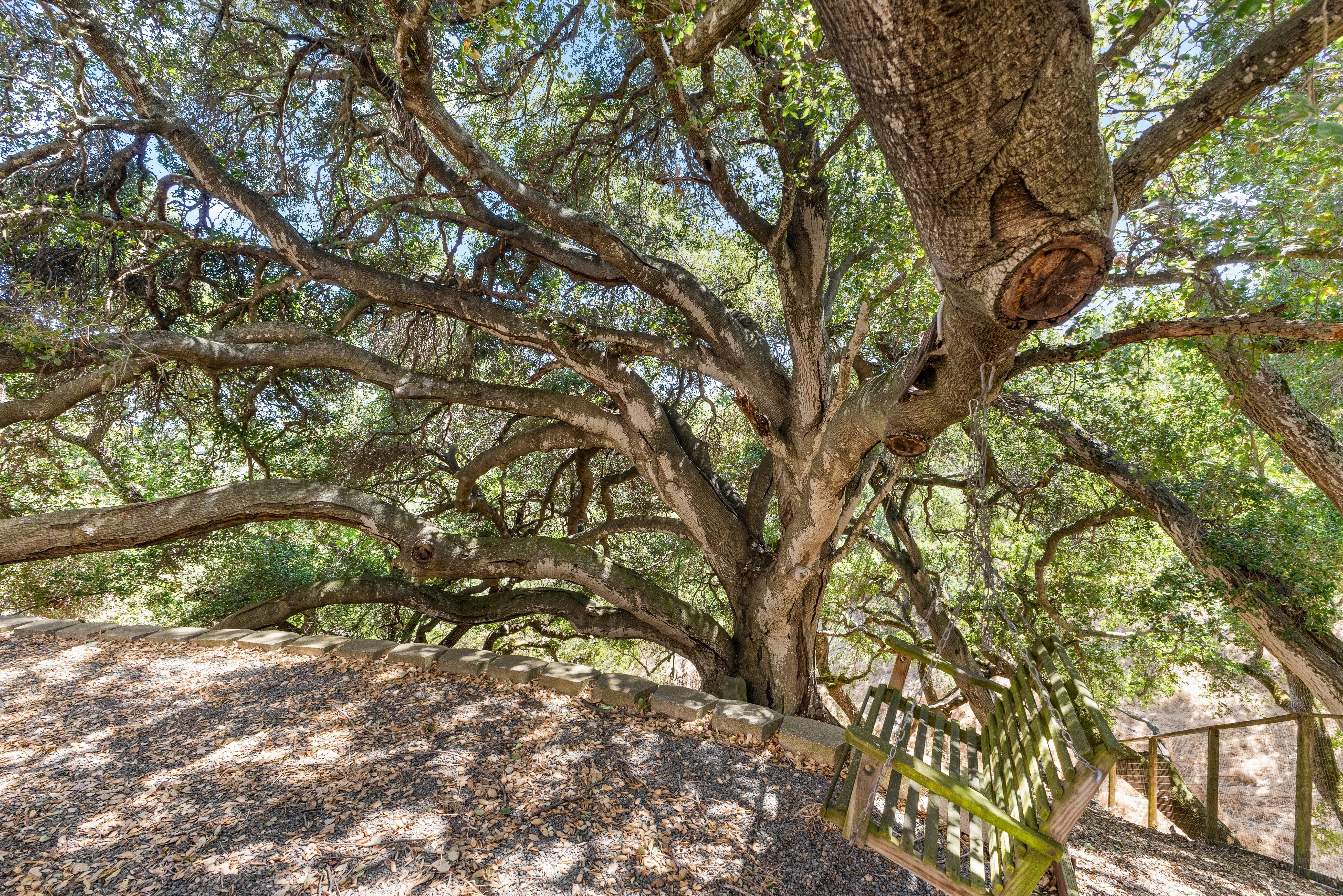  Custom Home on a Spectacular View Lot with Majestic Heritage Oak - 物件實景