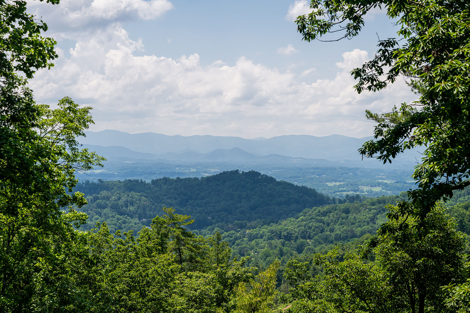  ASHEVILLE - 物件實景
