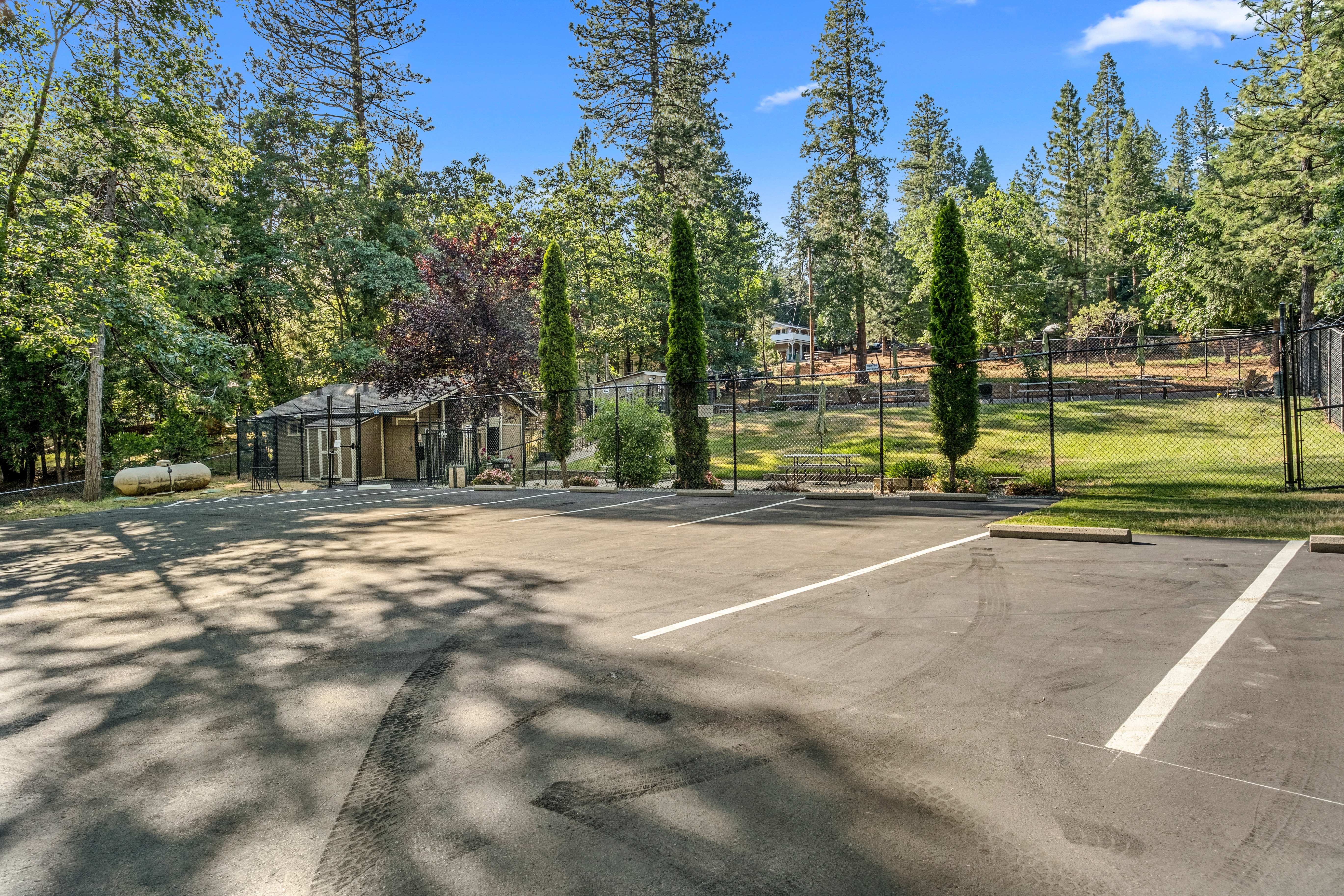  5648 Sierra Springs Drive, Pollock Pines, CA 95726 - 物件實景