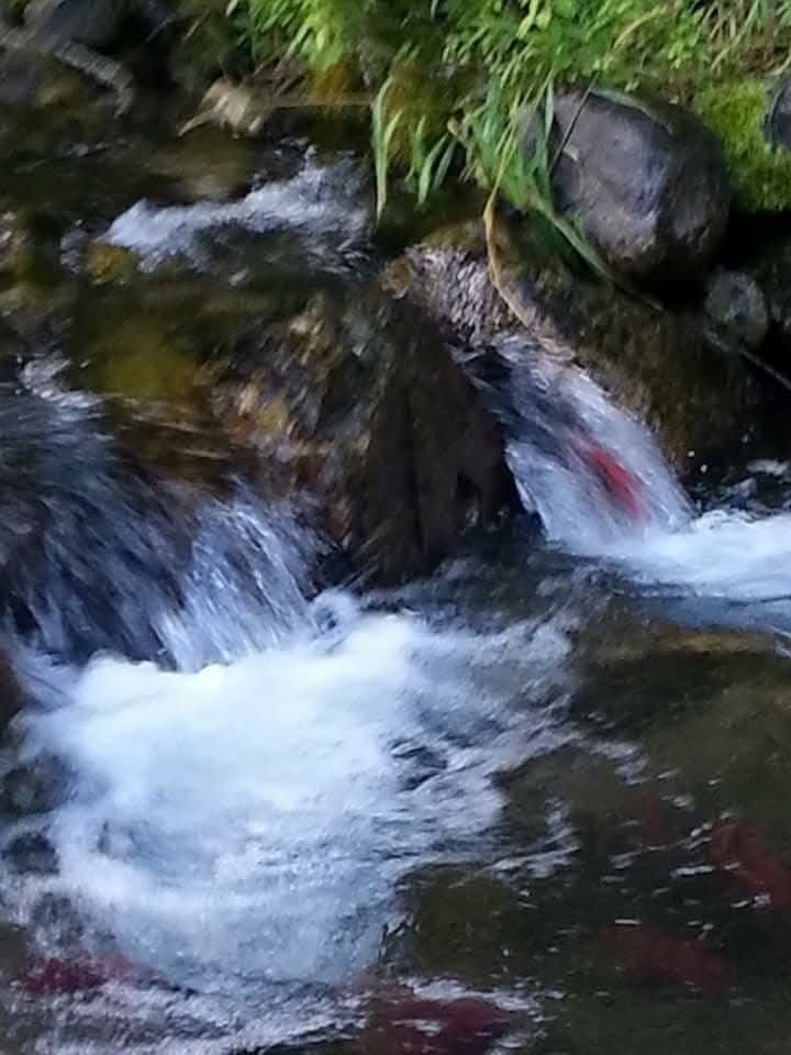 Bayview, Idaho, 83803, United States, 2 Bedrooms Bedrooms, ,3 BathroomsBathrooms,Residential,For Sale,1981313