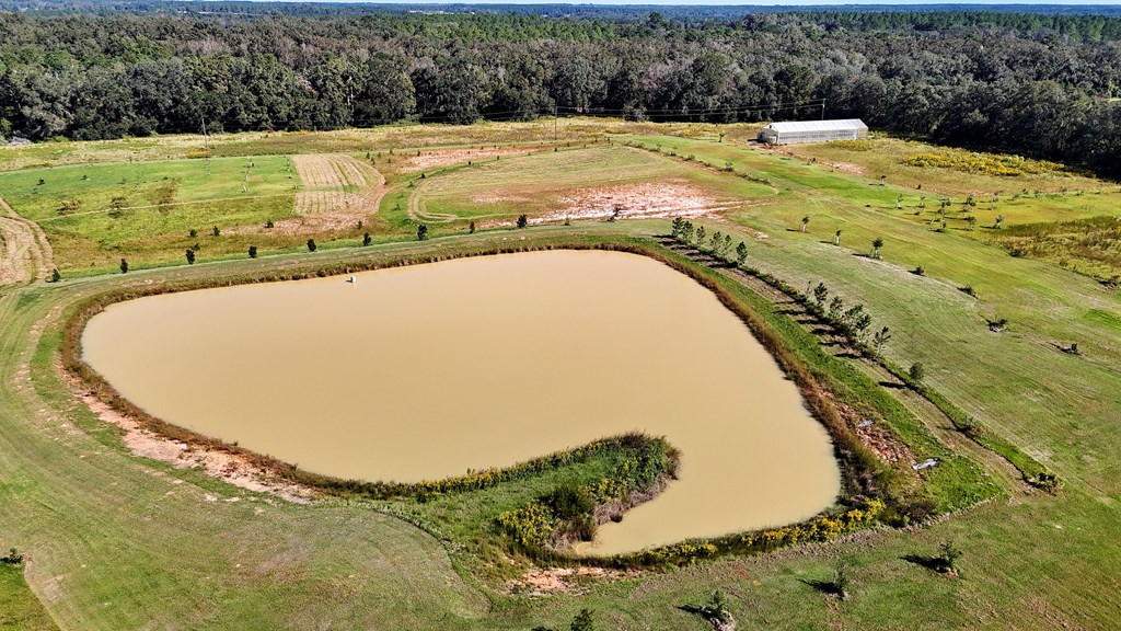 Pavo, Georgia, 31778, United States, ,Residential,For Sale,1988640