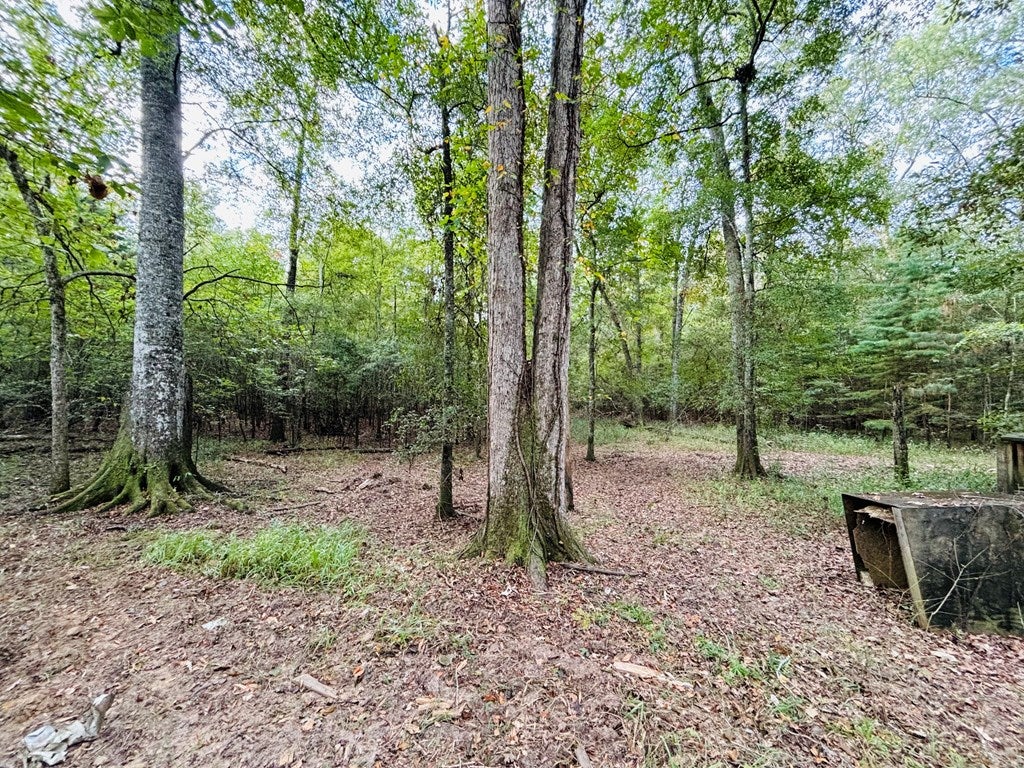 Abbeville, Georgia, 31001, United States, ,Land,For Sale,1975130
