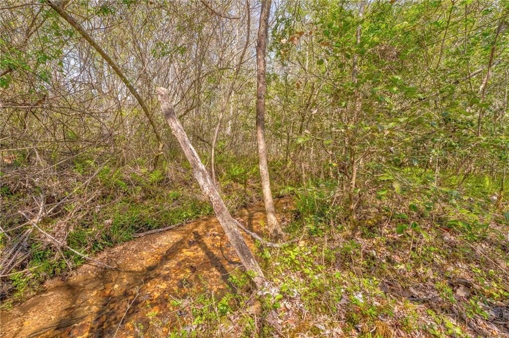 Mccaysville, Georgia, 30555, United States, ,Land,For Sale,1974872