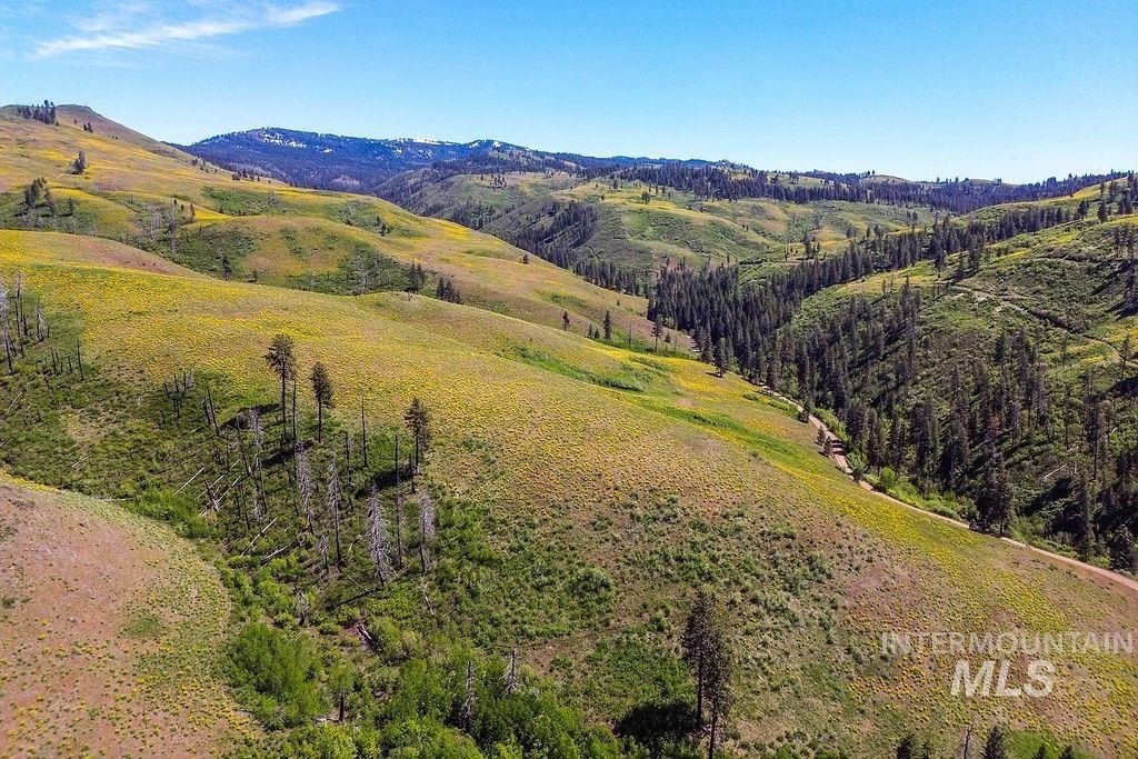 Council, Idaho, 83612, United States, ,Residential,For Sale,1862004