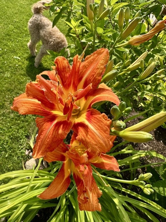 Bemidji, Minnesota, 56601, United States, 6 Bedrooms Bedrooms, ,2 BathroomsBathrooms,Residential,For Sale,2000102