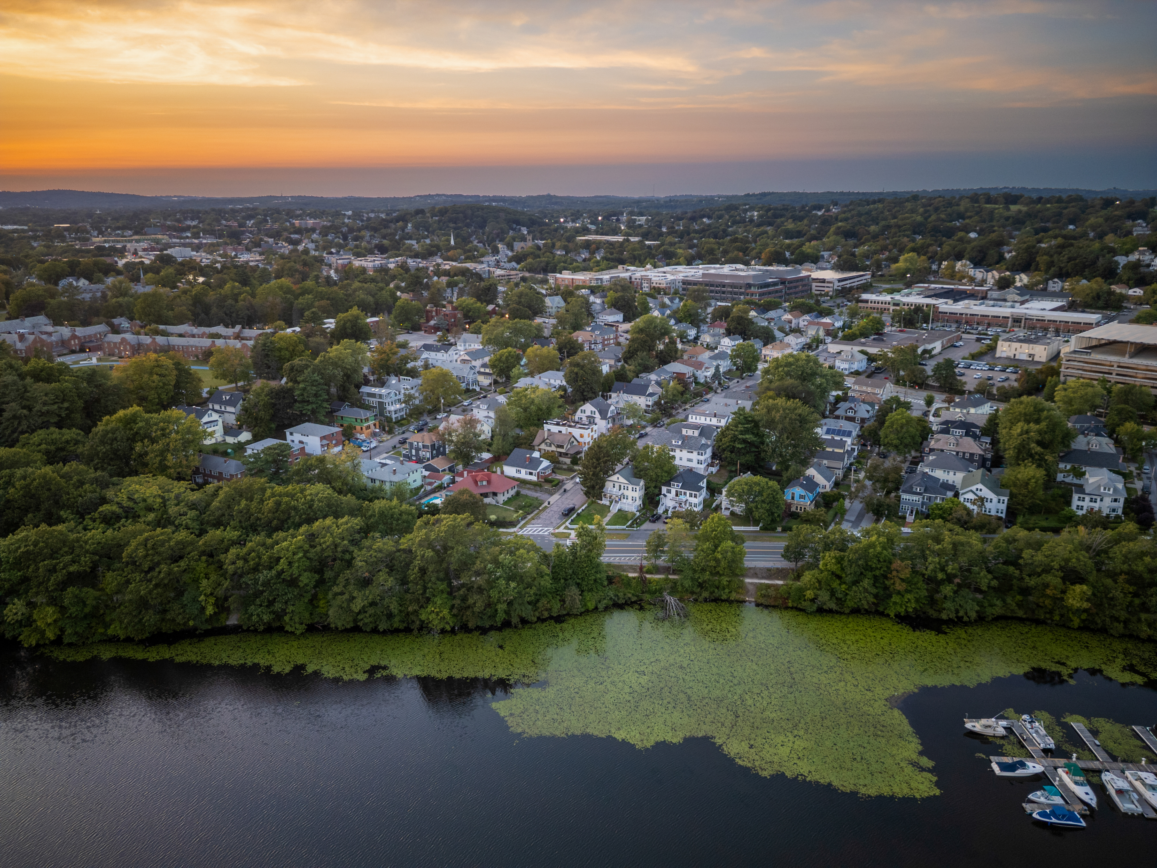  41 Paul Street, Watertown, MA, 02472 - 物件實景