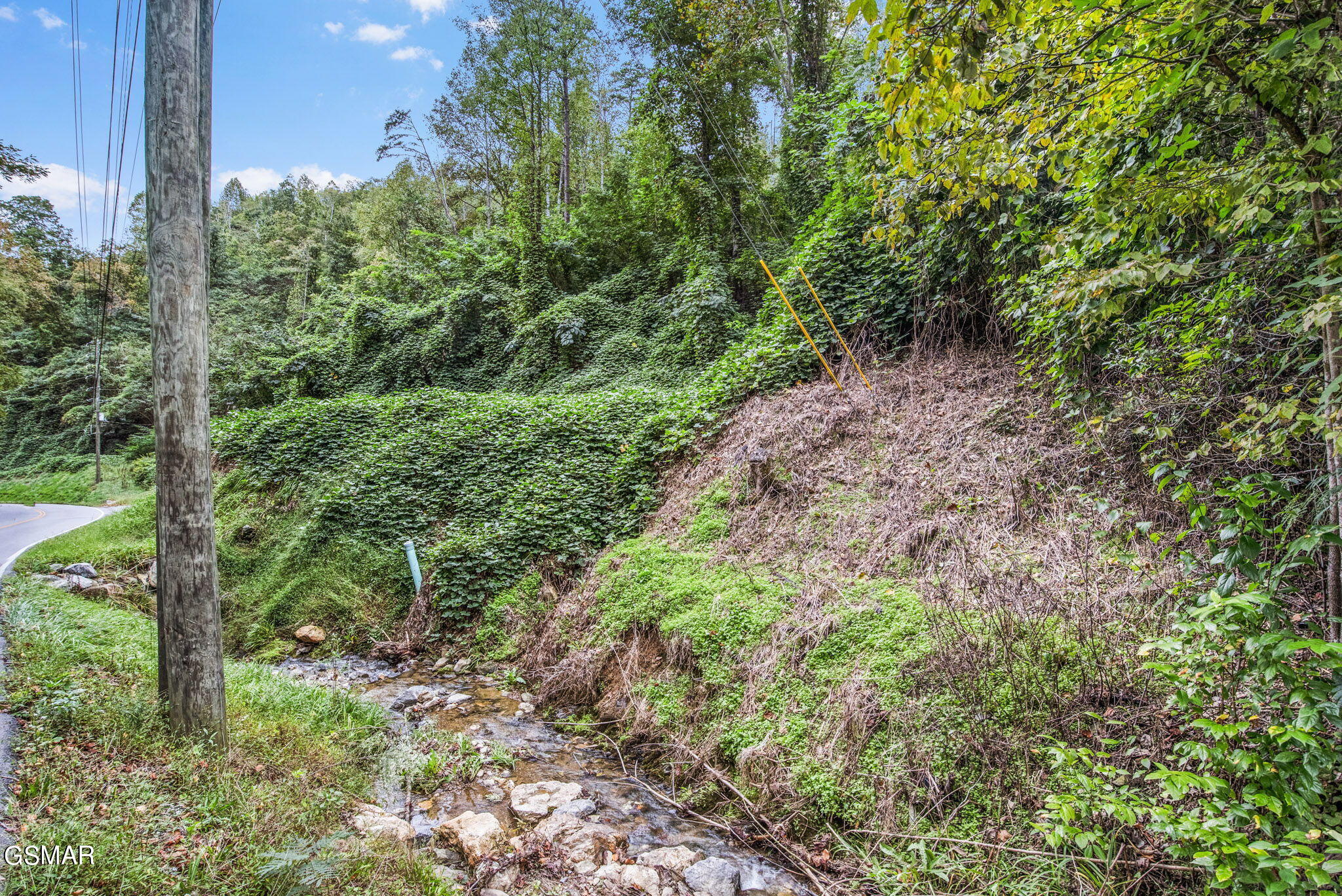 Gatlinburg, Tennessee, 37738, United States, ,Land,For Sale,1981809
