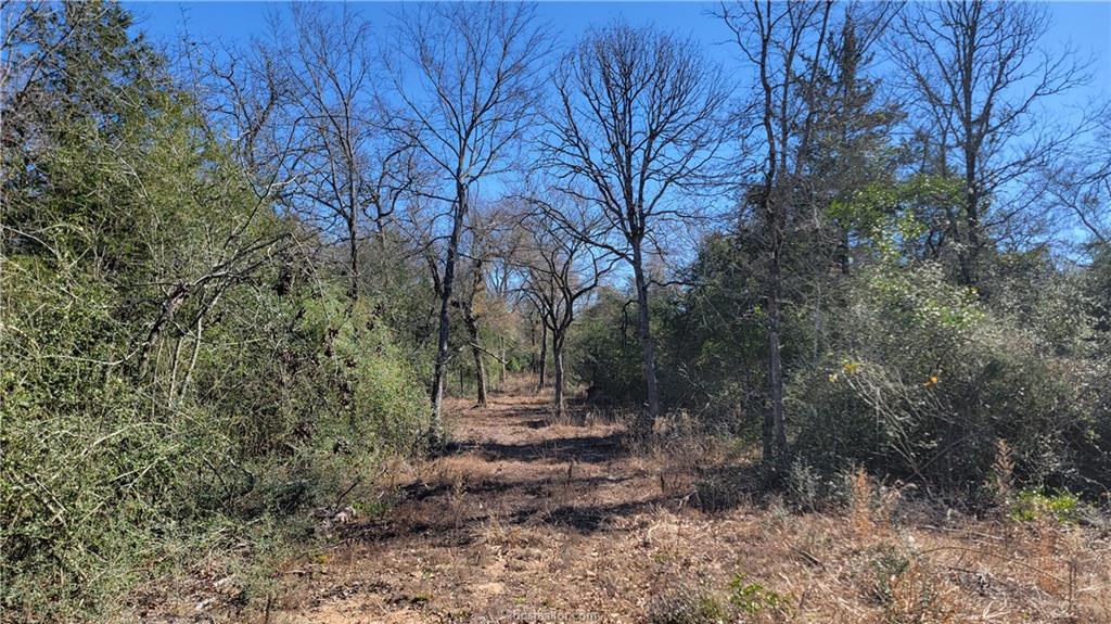 Franklin, Texas, 77856, United States, 4 Bedrooms Bedrooms, ,4 BathroomsBathrooms,Residential,For Sale,1701298
