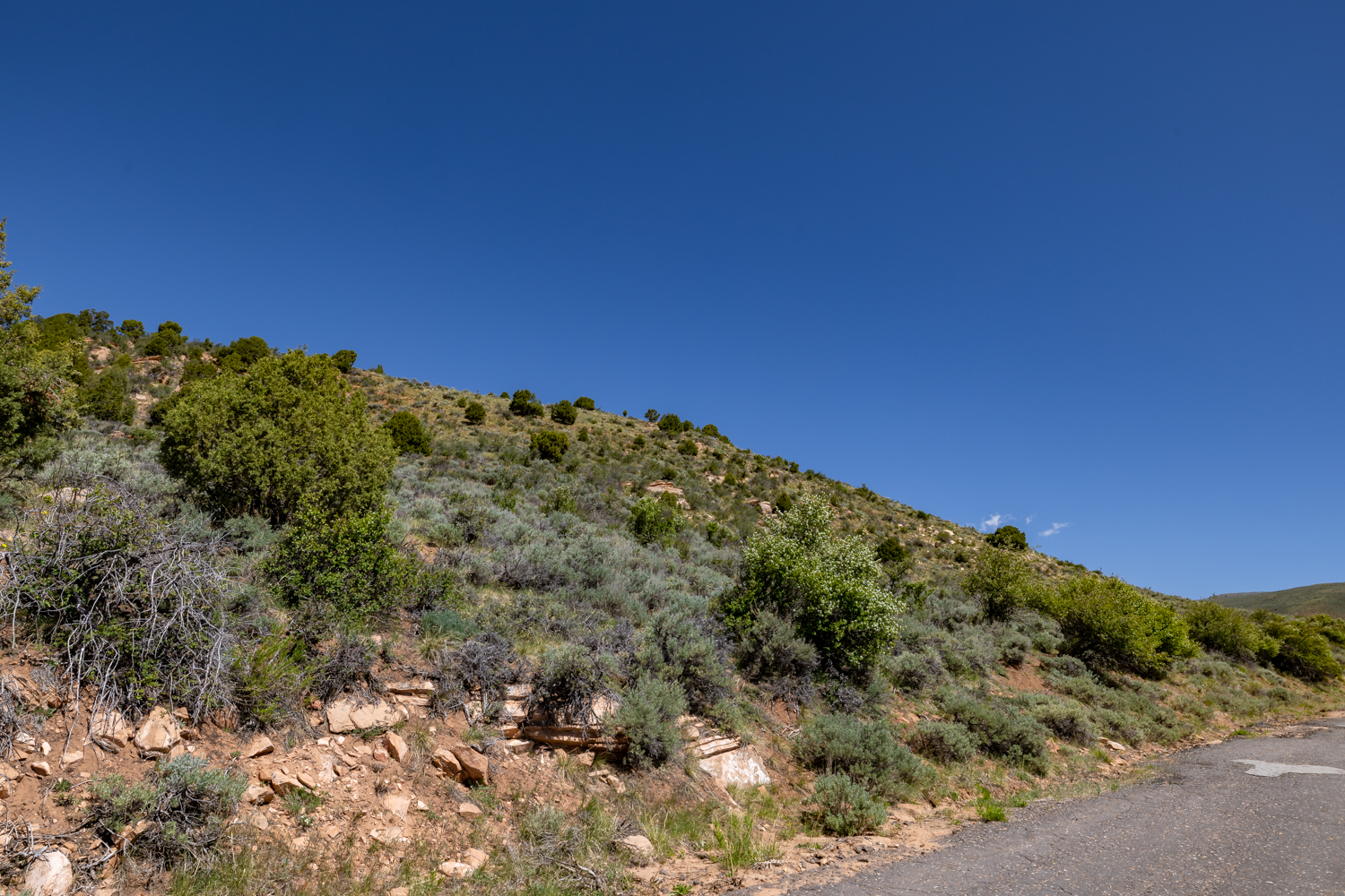 Lapoint, Utah, 84039, United States, ,Land,For Sale,1977386
