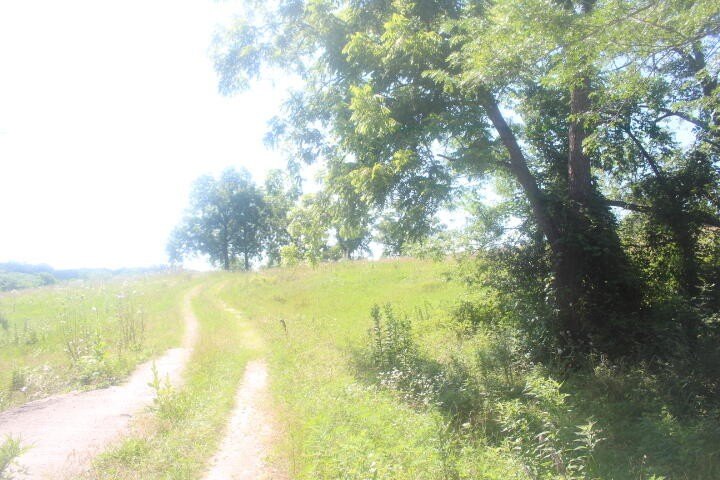 Polk, Missouri, 65727, United States, ,Land,For Sale,1980569