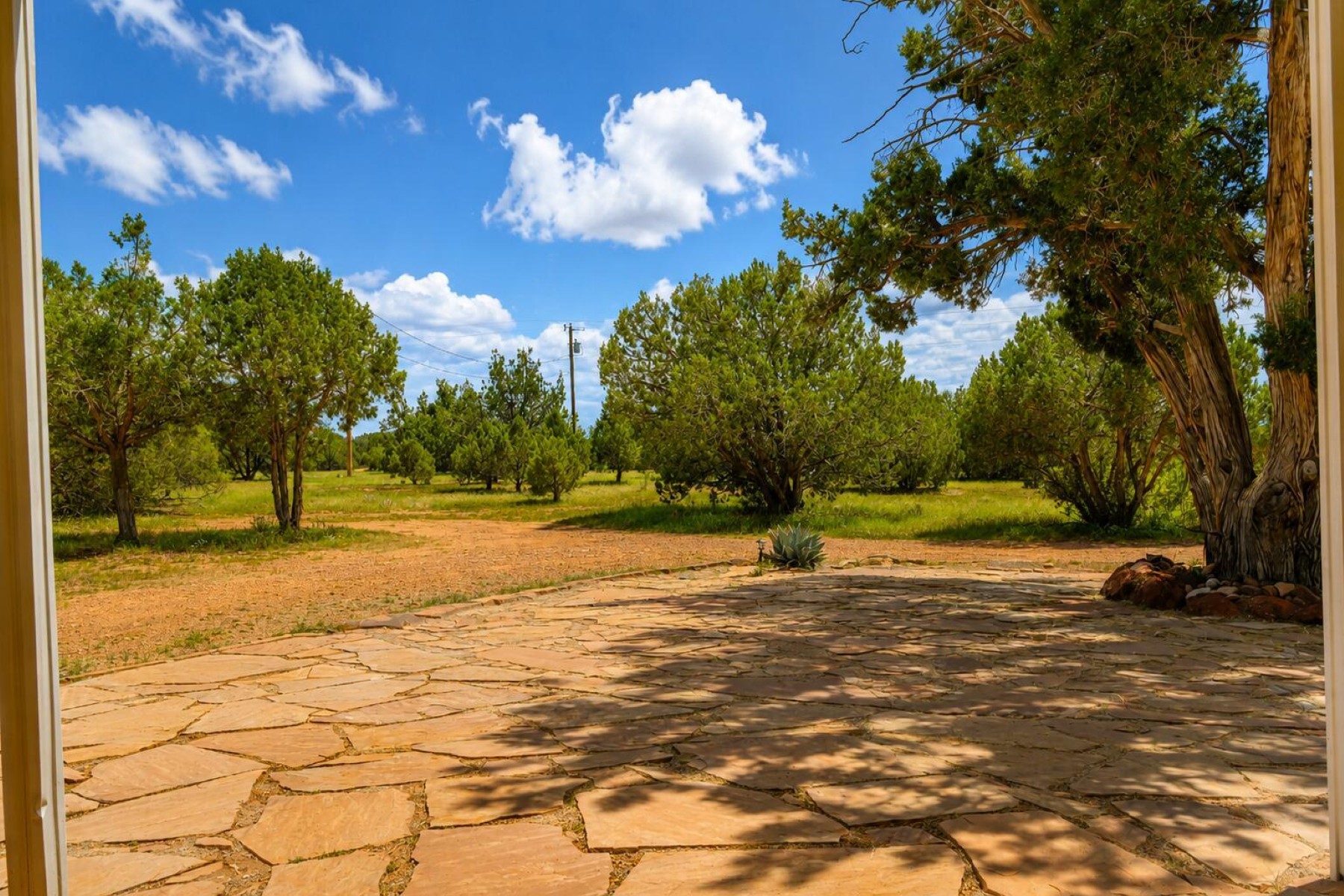  101 W Highland Street¦Williams, AZ - 物件實景