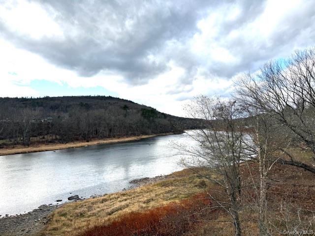 Barryville, New York, 12719, United States, 1 Bedroom Bedrooms, ,Residential,For Sale,1996622