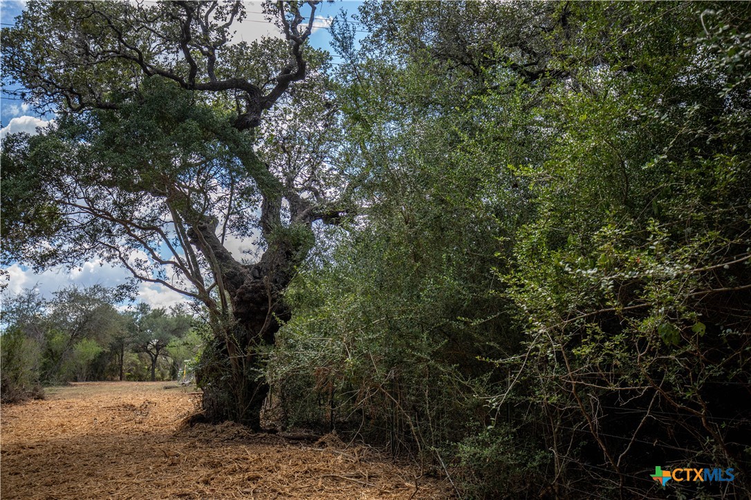 Cuero, Texas, 77954, United States, ,Residential,For Sale,1963995