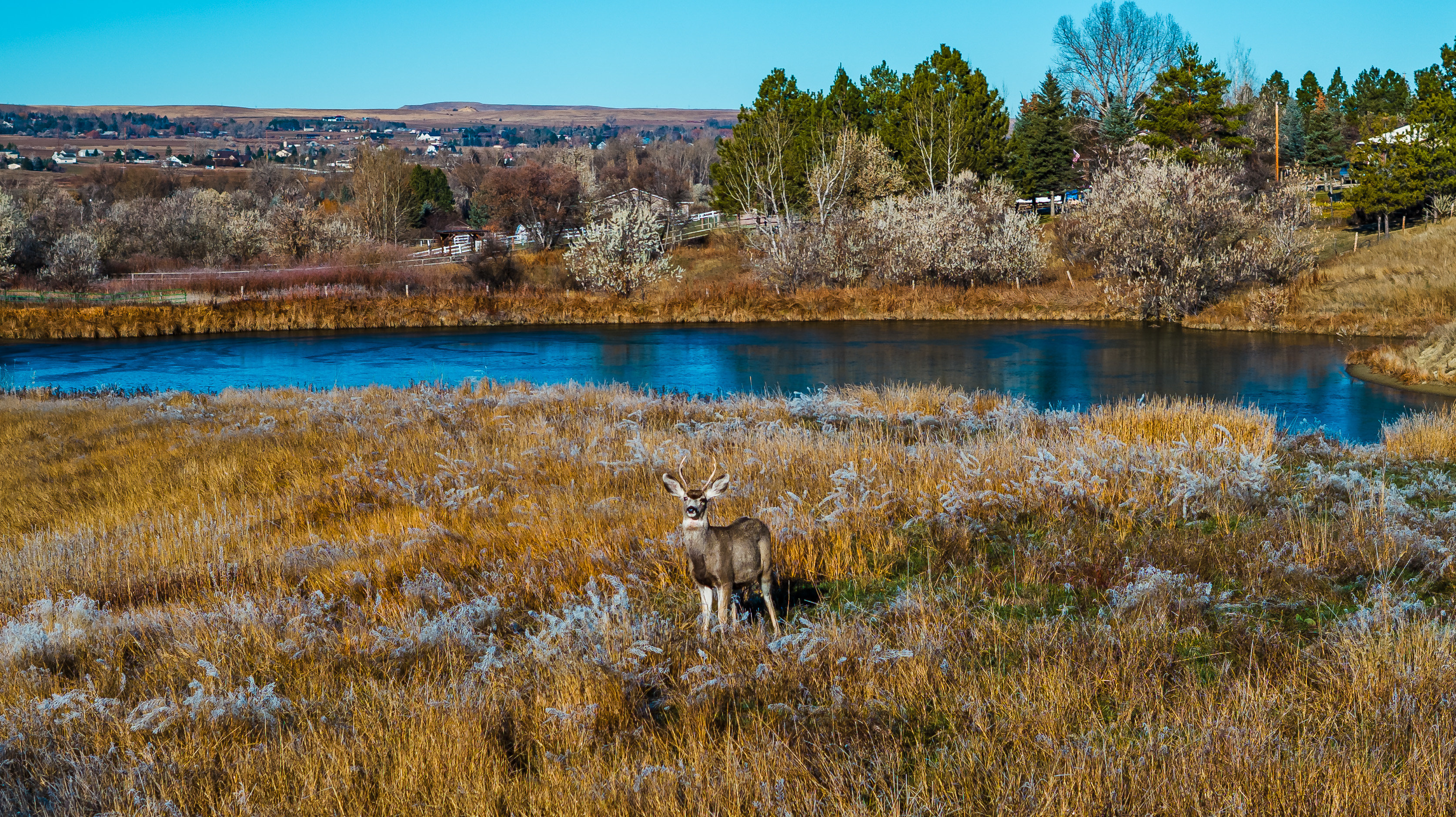 Sheridan, Wyoming, 82801, United States, ,Land,For Sale,2005822