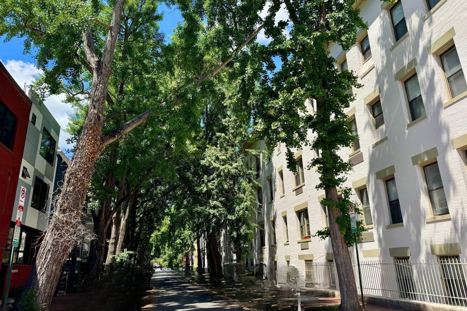  1822 15th Street NW, Washington, DC, 20009 - 物件實景
