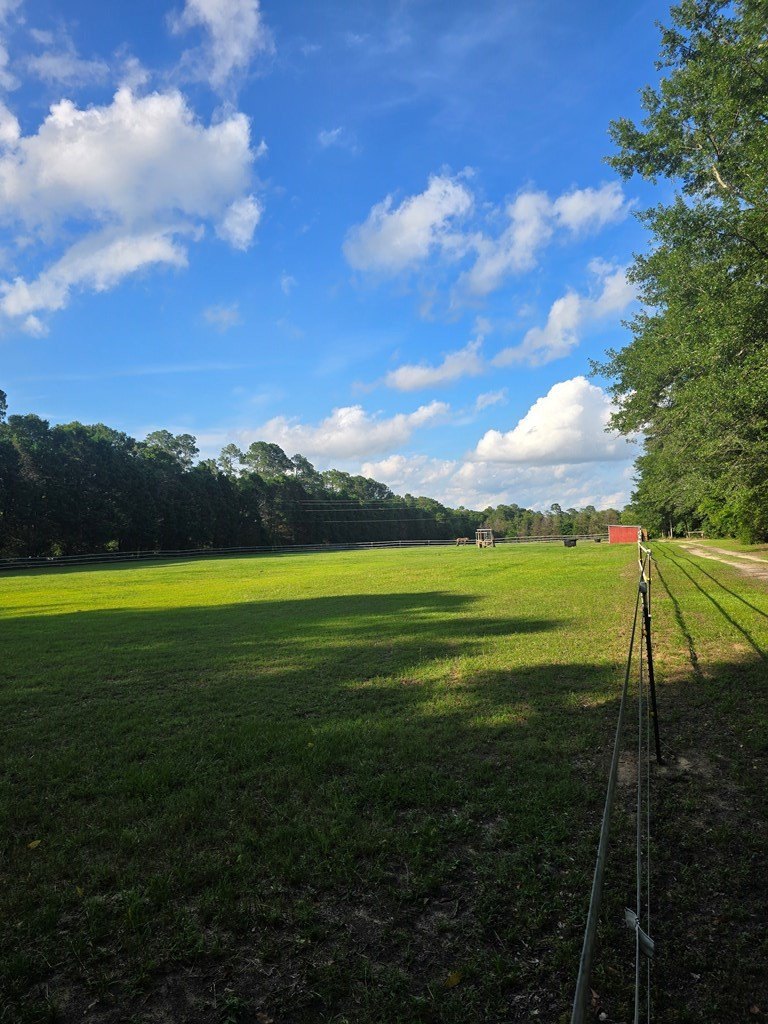 Sumter, South Carolina, 29154, United States, 3 Bedrooms Bedrooms, ,3 BathroomsBathrooms,Residential,For Sale,1974598