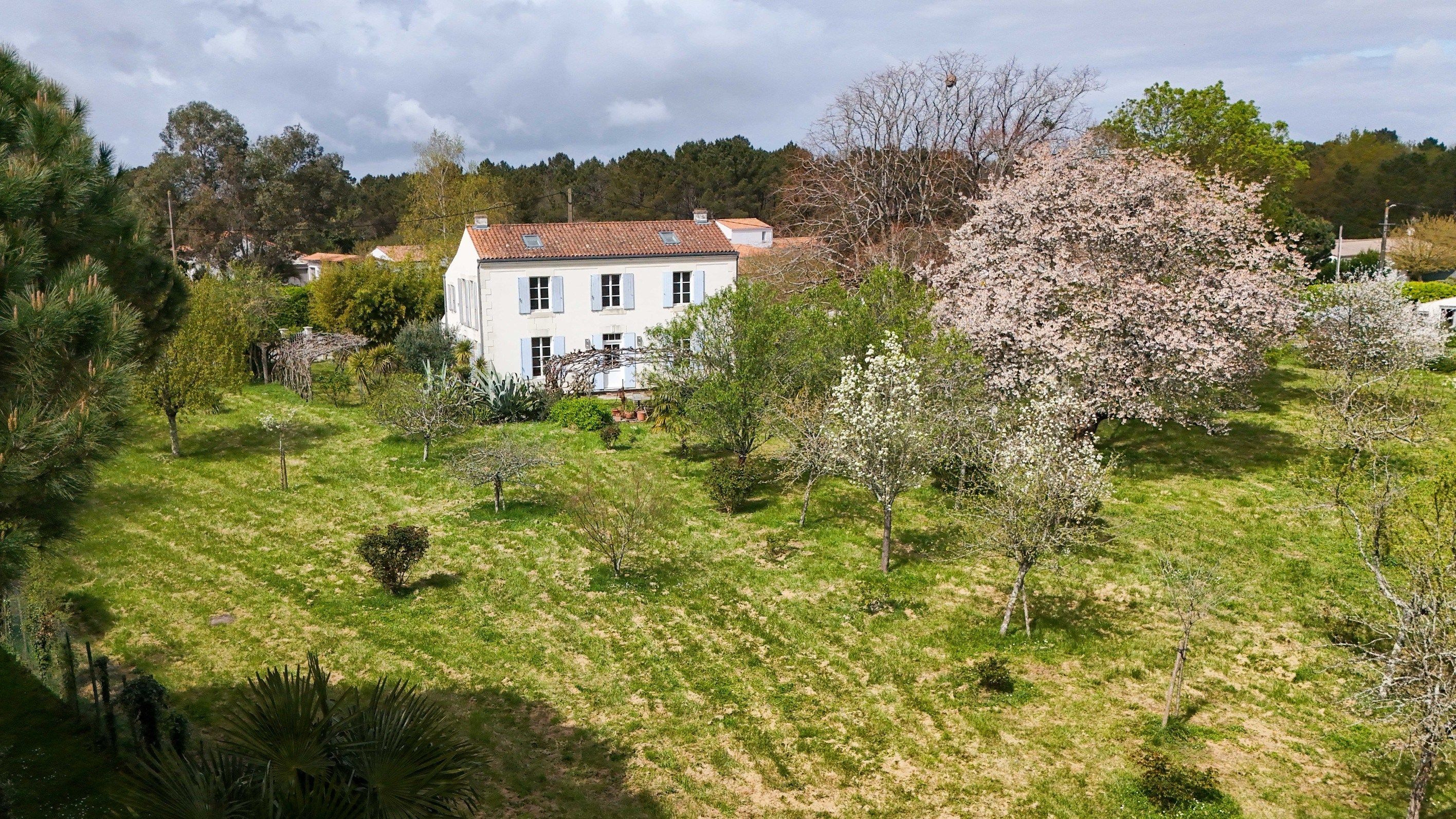  CHARMING CHARACTER RESIDENCE NEAR ROYAN - 物件實景