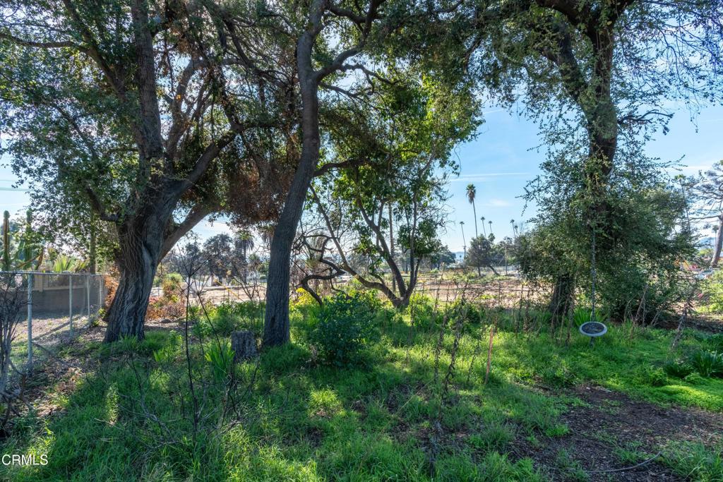 Altadena, California, 91001, United States, ,Land,For Sale,2000567