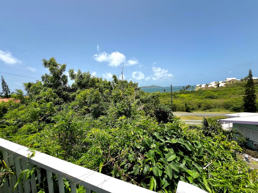 St. Croix, Virgin Islands, 00820, VI, 6 Bedrooms Bedrooms, ,5 BathroomsBathrooms,Residential,For Sale,1991120