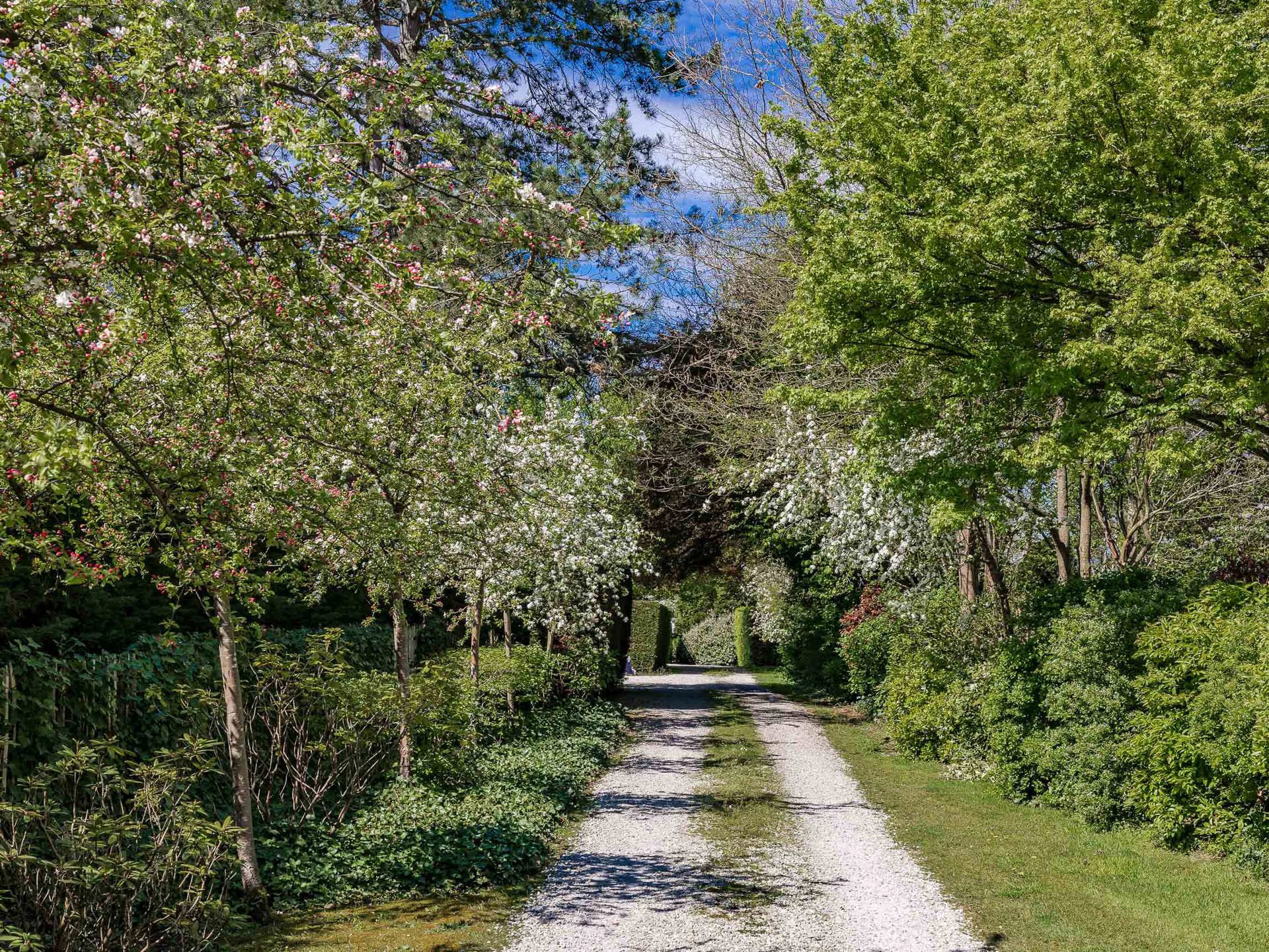  Brabant Wallon I Lasne - 物件實景