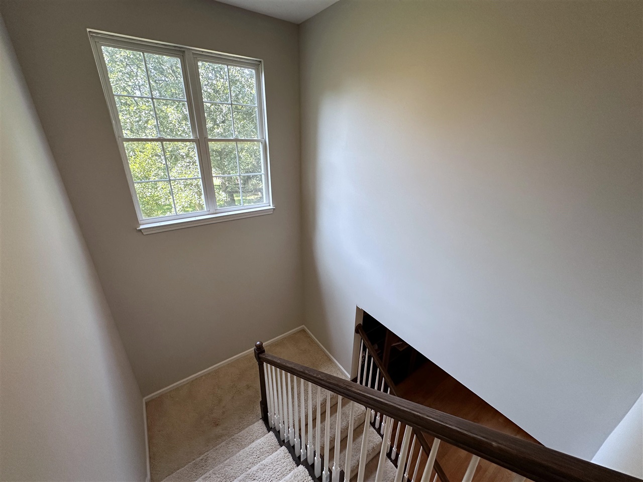 Bowling Green, Kentucky, 42104, United States, 5 Bedrooms Bedrooms, ,3 BathroomsBathrooms,Residential,For Sale,1907465