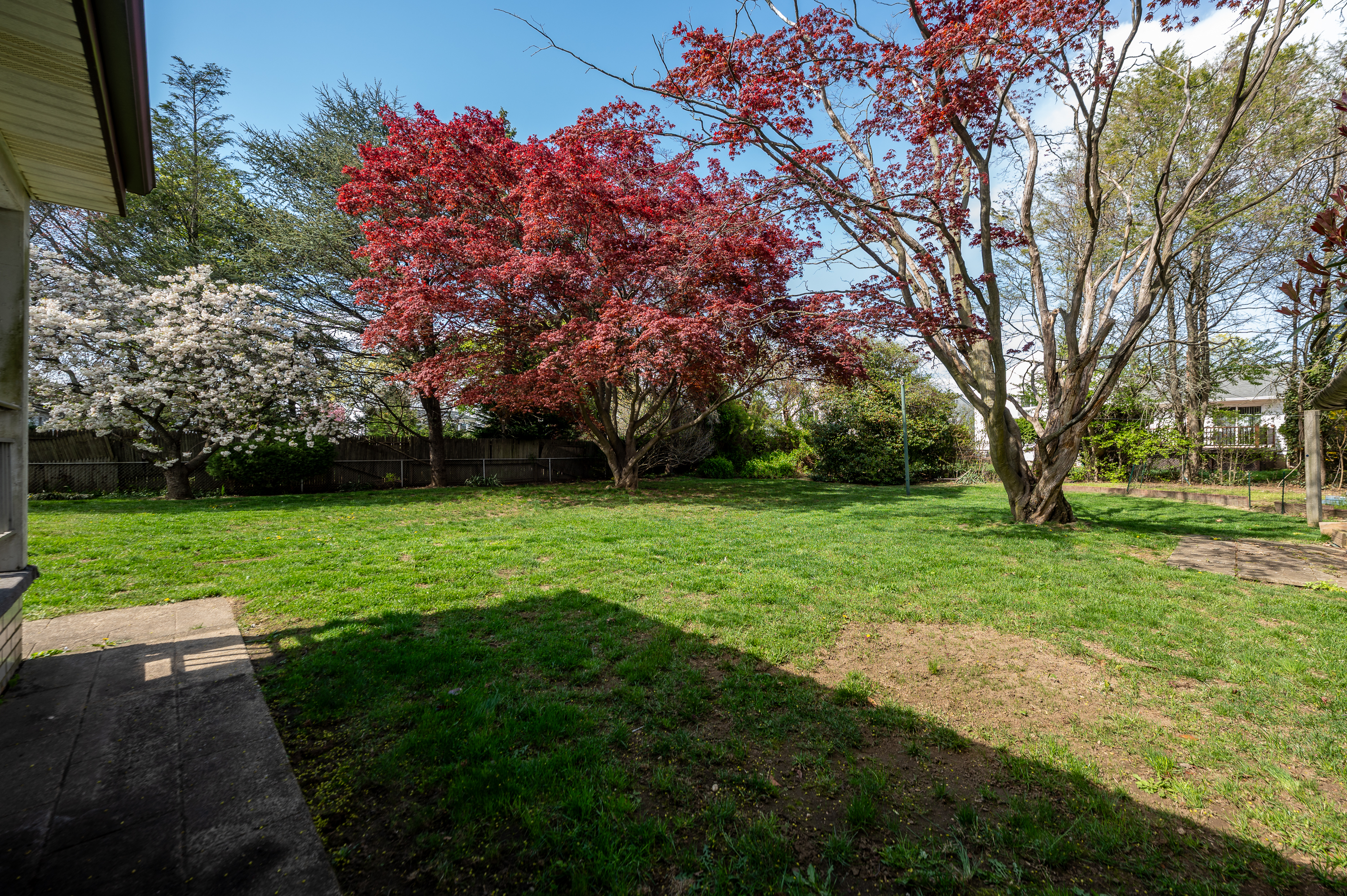  167 Maple Avenue, East Meadow, NY, 11554 - 物件實景