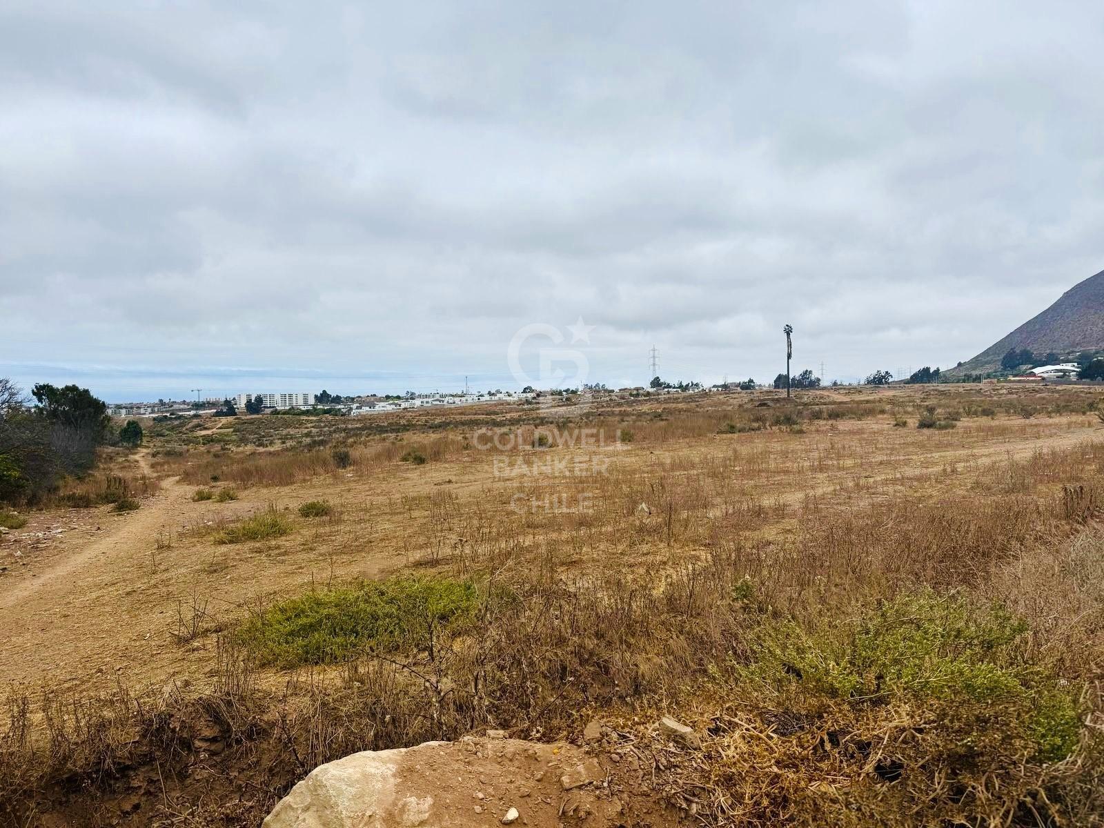 La Serena, Chile, ,Land,For Sale,1723843