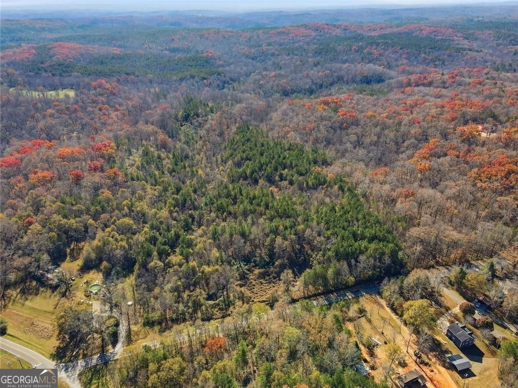Jasper, Georgia, 30143, United States, ,Land,For Sale,1996551