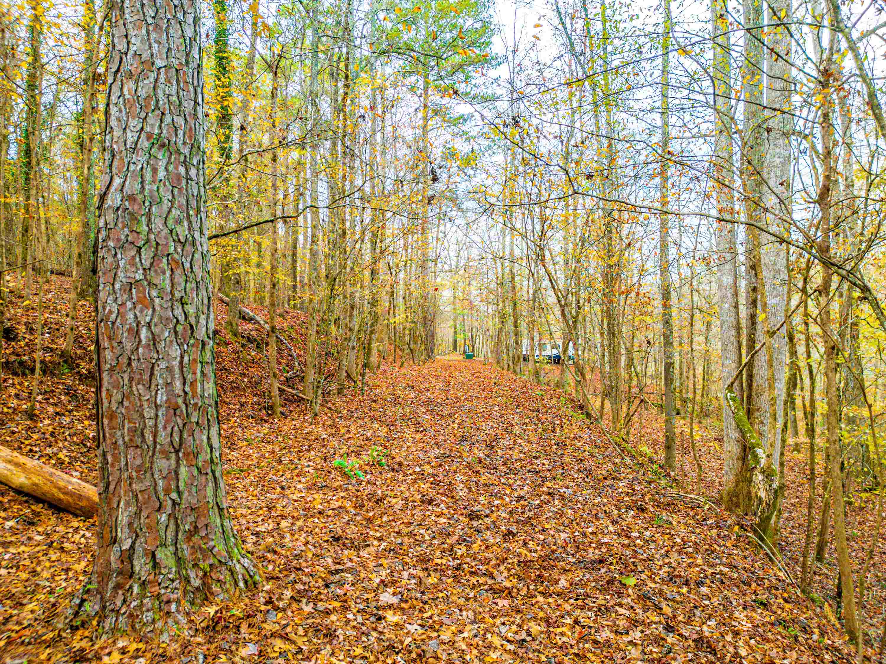 6.04 ac LINCHBURG ROAD, Eatonton, Georgia, 31024, United States, ,Land,For Sale,6.04 ac LINCHBURG ROAD,1683255