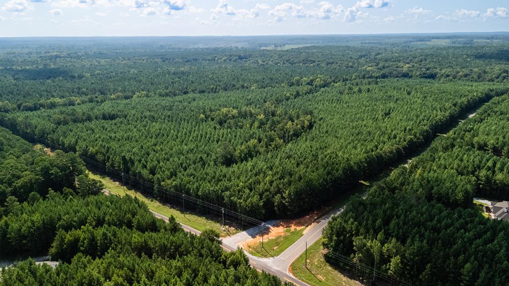 Hamilton, Georgia, 31811, United States, ,Land,For Sale,1919731