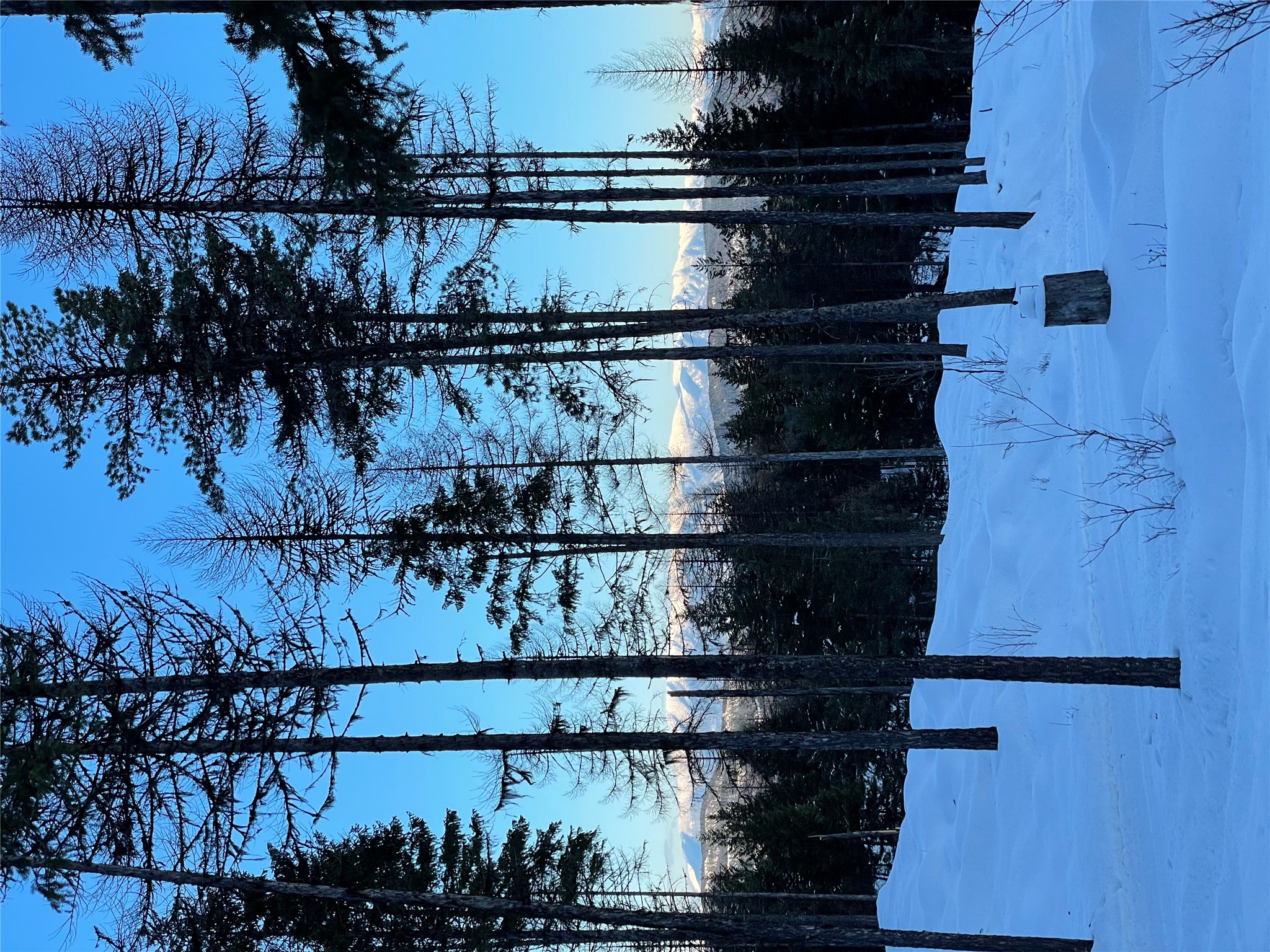   - 物件實景
