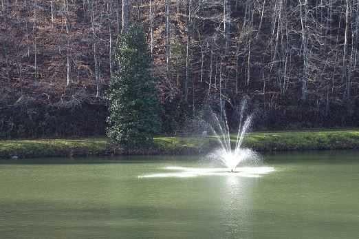 Ellijay, Georgia, 30540, United States, 3 Bedrooms Bedrooms, ,3 BathroomsBathrooms,Residential,For Sale,2034998
