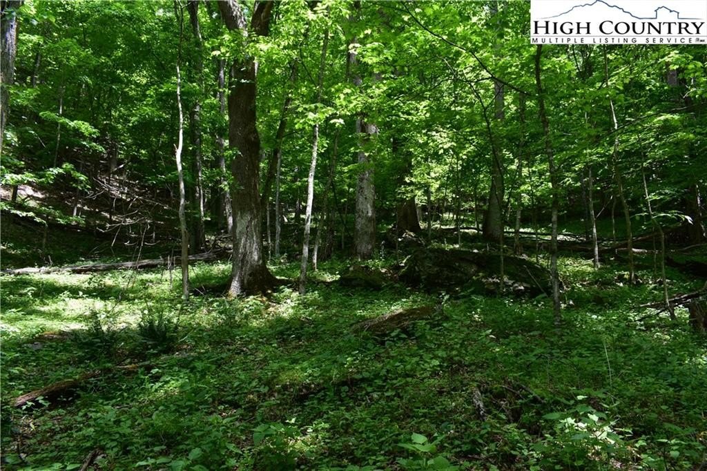 Warrensville, North Carolina, 28693, United States, ,Land,For Sale,1984173