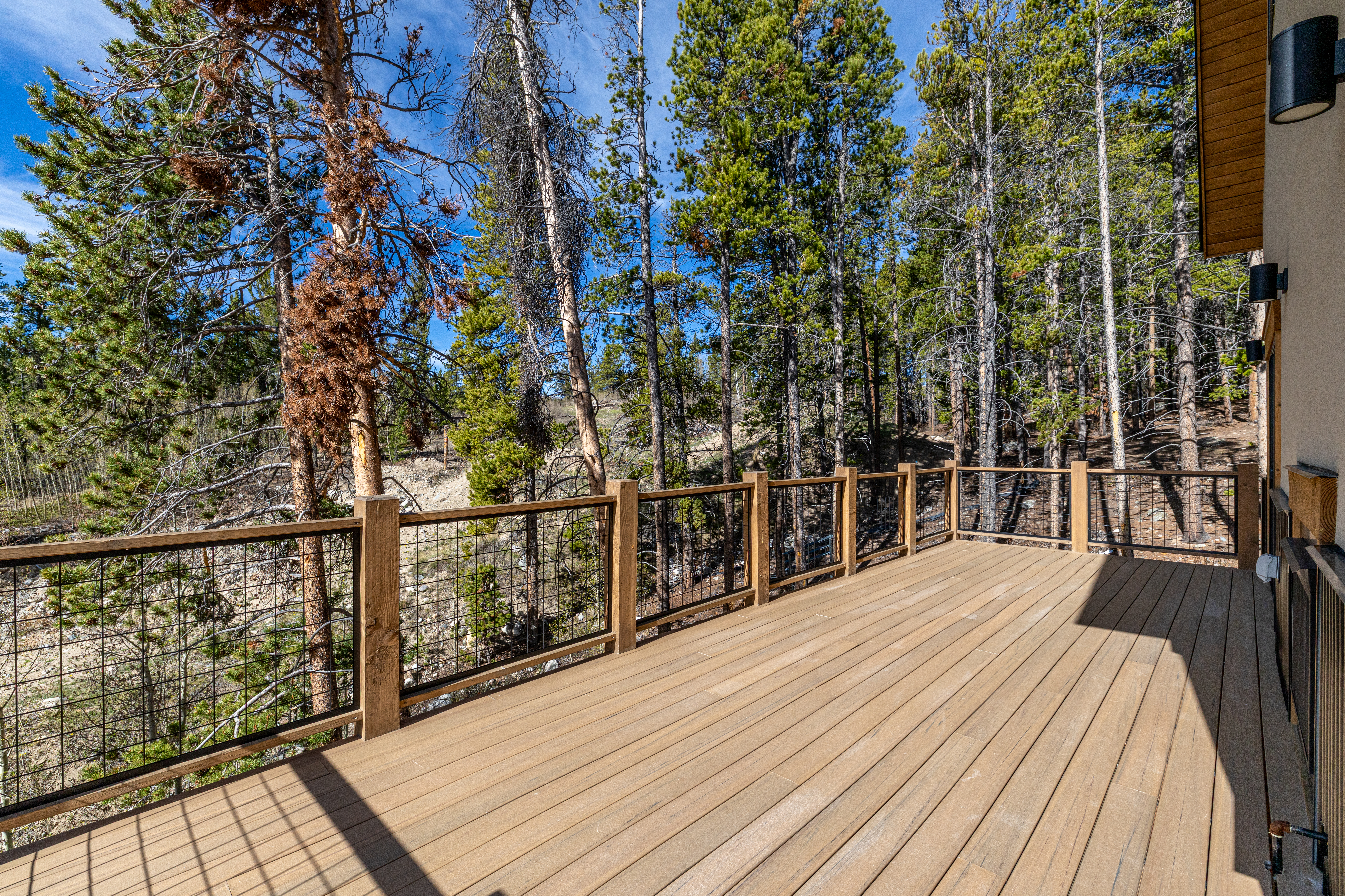  141 N Aspen Street, Alma, CO, 80420 - 物件實景
