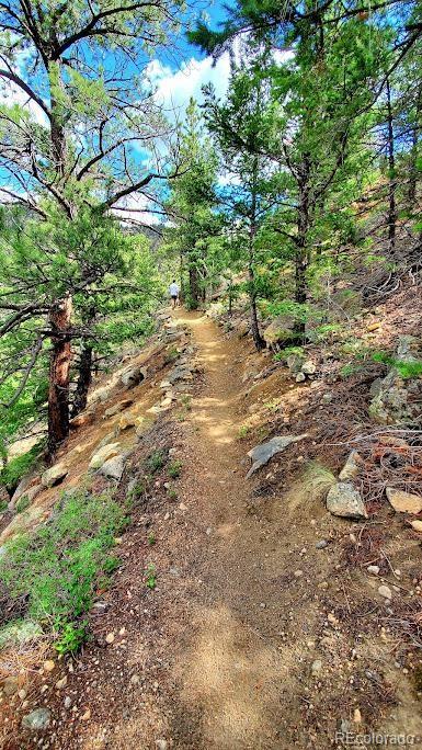 Georgetown, Colorado, 80444, United States, 2 Bedrooms Bedrooms, ,1 BathroomBathrooms,Residential,For Sale,1992170