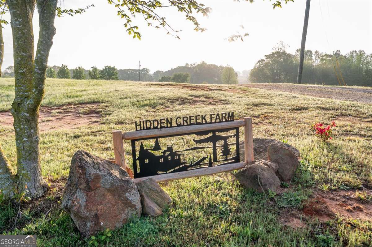 Royston, Georgia, 30662, United States, ,Land,For Sale,1829562
