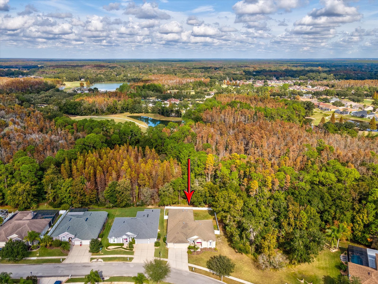 Wesley Chapel, Florida, 33544, United States, 4 Bedrooms Bedrooms, ,5 BathroomsBathrooms,Residential,For Sale,2000097