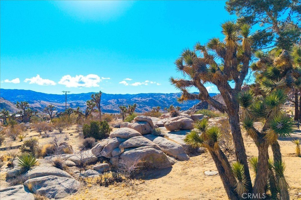 Joshua Tree, California, 92252, United States, 3 Bedrooms Bedrooms, ,2 BathroomsBathrooms,Residential,For Sale,1942307