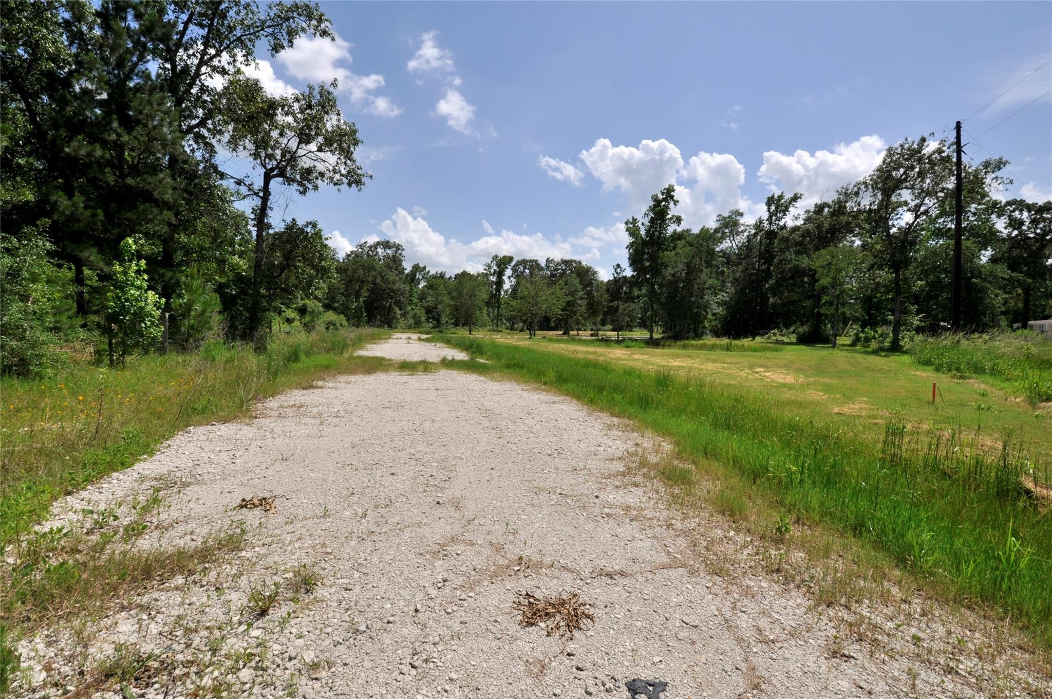 Magnolia, Texas, 77355, United States, ,Land,For Sale,1896028