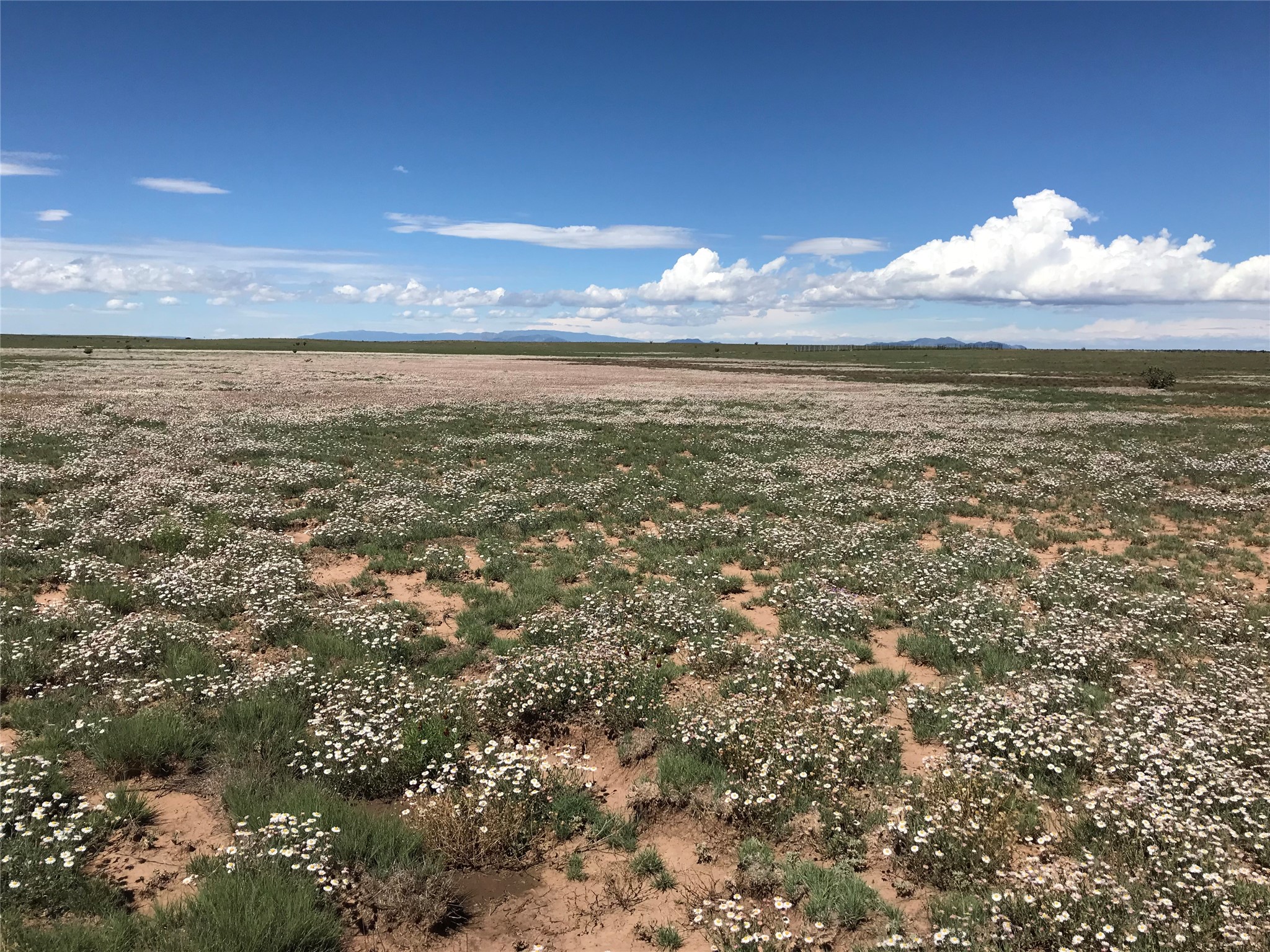  26262 US Highway 285 - 物件實景