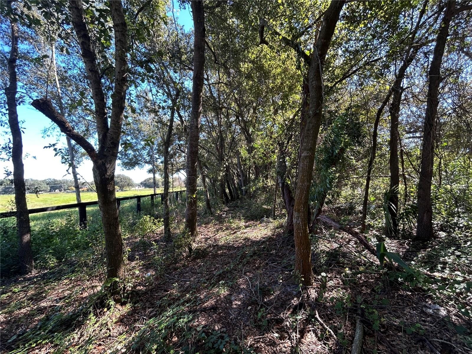 POLK CITY, Florida, 33868, United States, 5 Bedrooms Bedrooms, ,3 BathroomsBathrooms,Residential,For Sale,1984061